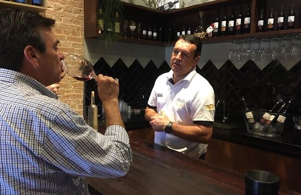 São Roque Wineries Route from São Paulo