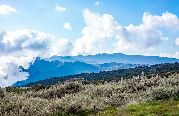 Kilimanjaro Climbing 6 Days Marangu Route