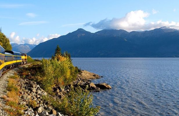 Whittier to Anchorage Cruise Transfer and Private Tour