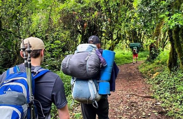 8-Day Mount Kilimanjaro Trekking Tour Lemosho Route 