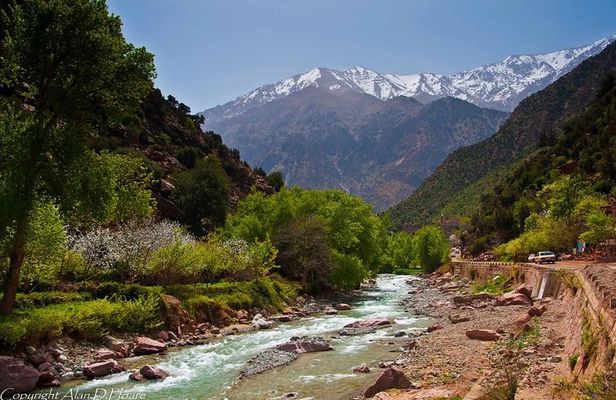 Private Full-Day Tour Ourika Valley from Marrakech with Lunch