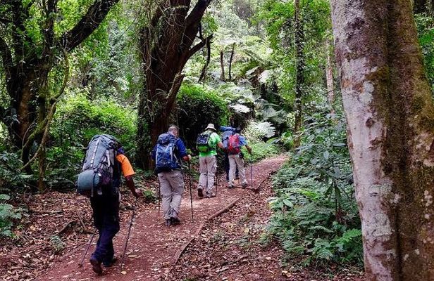 Mount Kilimanjaro: 7-Day Trekking - Machame Route