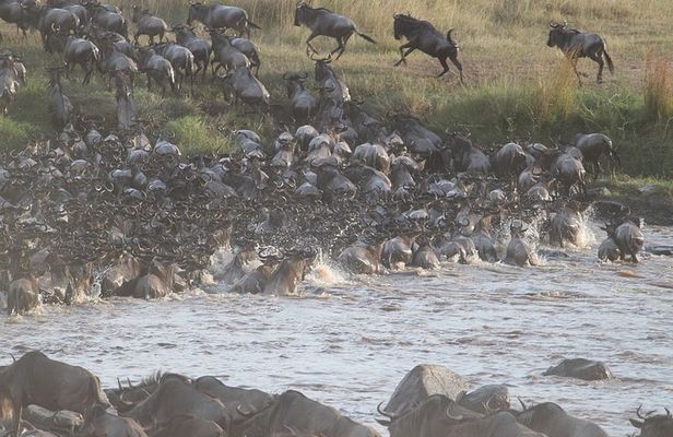 5 Days/4 Nights Kenya Safari