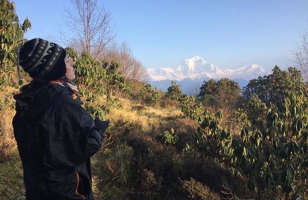 4 Days Poon Hill Trek