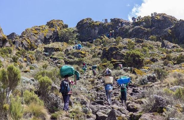 Mount Kilimanjaro: 5-Day Marangu Route Trekking Adventure