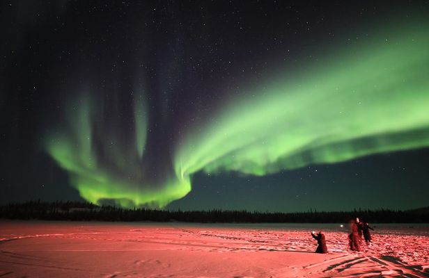 Yellowknife Tours - Aurora by bus