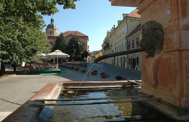 Private Day Tour to Fruska Gora Monasteries, Sremski Karlovci and Novi Sad