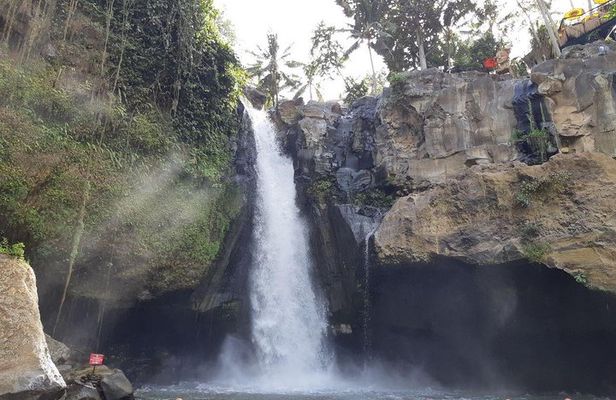 Bali Tour: Ubud Most Popular Place