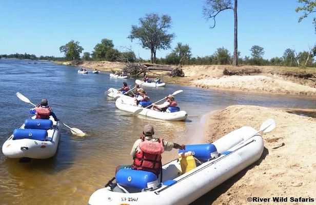 Canoeing Upper Zambezi 1 Day - River Wild Safaris