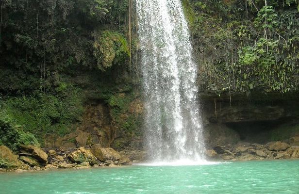 7 Hour- Private Nature Tour of the Monte Plata Rainforest