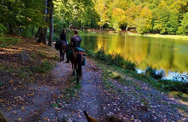 Horseback Riding in Armenia