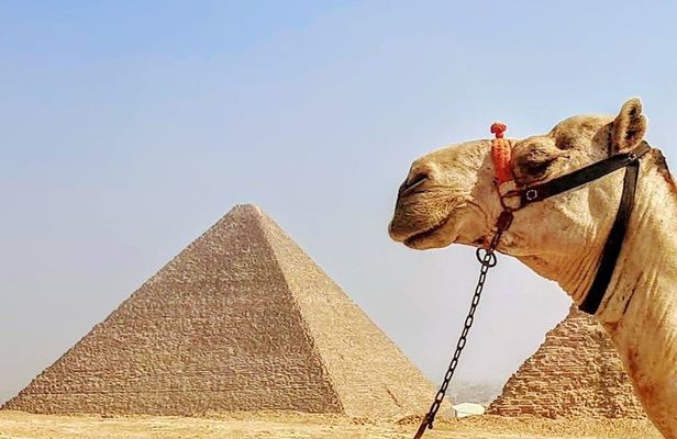 Private day trip to Cairo from Hurghada