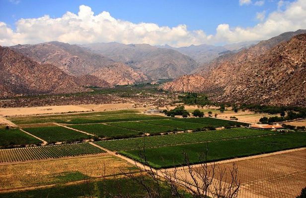 Full Day Excursion to Cafayate from Salta