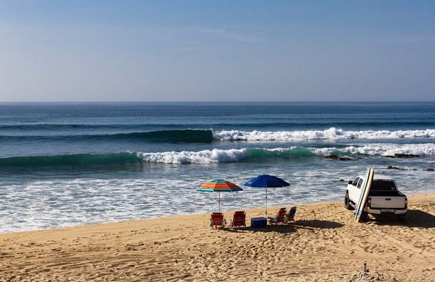 Surf Lesson Tours (half day)