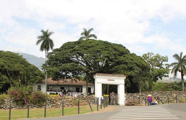 Sugar Cane Hacienda El Paraiso & Nature Day Tour