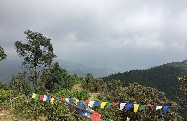 Easy Hiking to Australian Camp from Pokhara