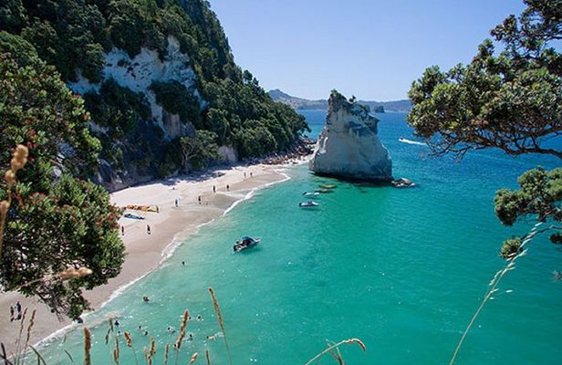 Coromandel, Cathedral Cove and Hot Water Beach Full Day Tour From Auckland