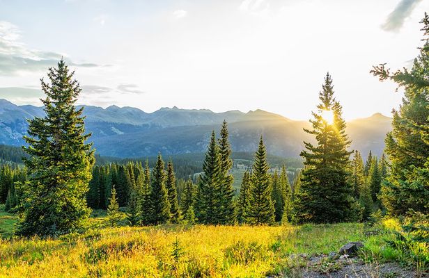 Private - Mount Falcon Park Hike from Denver