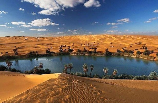 Private Full-Day Tour from Cairo to Wadi - Al Rayan & al fayoum oasis