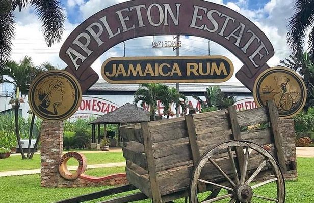 Appleton Estate Rum Private Tour 