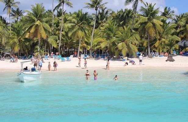 Saona Island Excursion by Catamaran and Speedboat (Full Day)