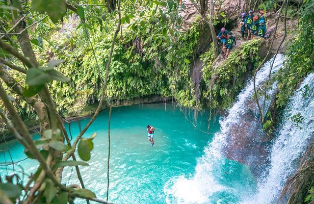 Kawasan Falls Canyoning and Moalboal Sardine Run, Sea Turtles
