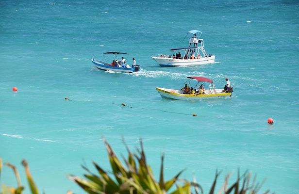 Private Tulum Ruins, Reef Snorkel & Cenote Adventure