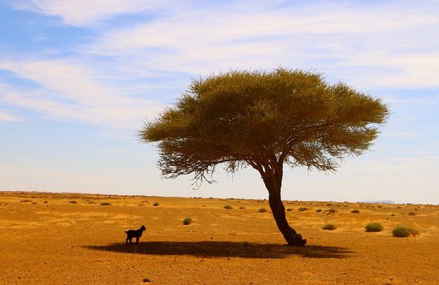 4 Days Private Tour from Agadir to Marrakech with overnight in Erg Chegaga Dunes