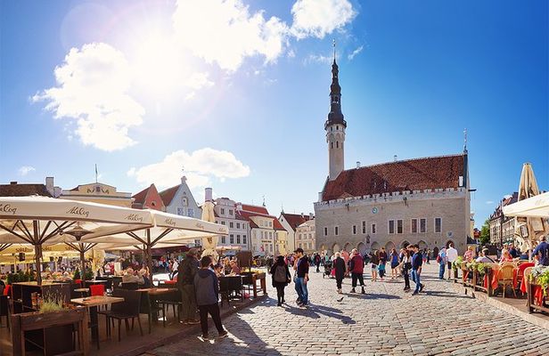 Tallinn Private Walking Tour