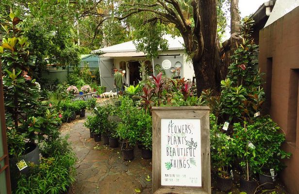 Beyond Byron Hinterland Tour