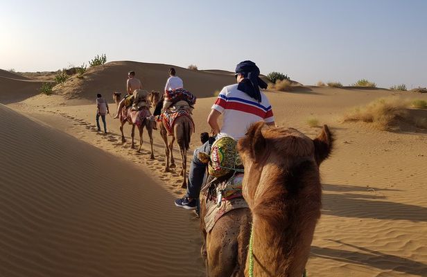 2 Days One Night Safari into Thar Desert 7:30AM to 11AM Next day
