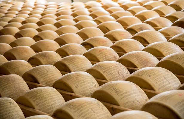 Private half day tour in Parma