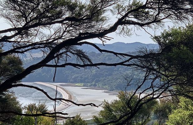 Waiheke Island Private Freedom Te Ara Hura Walk