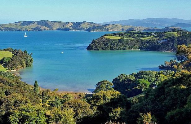 Private Guided Best of Waiheke Island