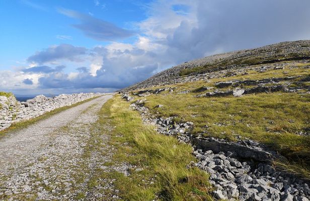 The Burren and Cliffs of Moher Full Day Private Tour from Galway