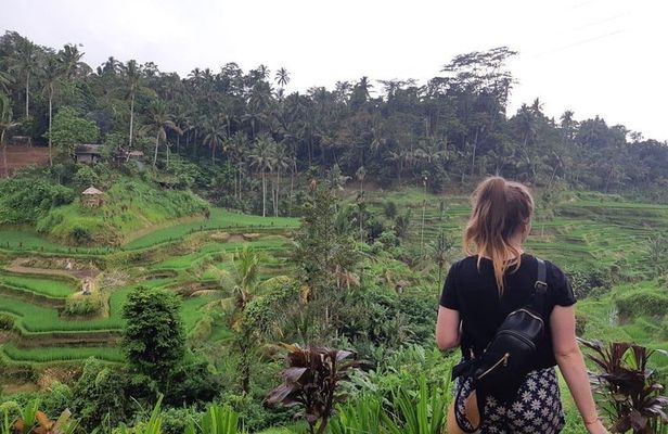 Bali All Inclusive Tour, Ubud Rice Terrace, Temple and Volcano