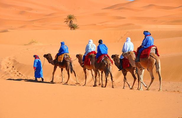 3 Day Marrakech Desert Tour with camel ride and night in Sahara