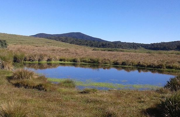 Visit Horton Plains National Park.