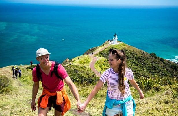 Cape Reinga - 90 Mile Beach Tour - With Lunch