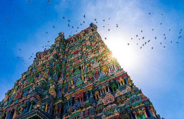 Deep South of India - Kerala and Tamil Nadul