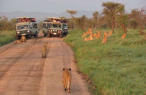 3days Tarangire,Ngorongoro Crater and lake Manyara 
