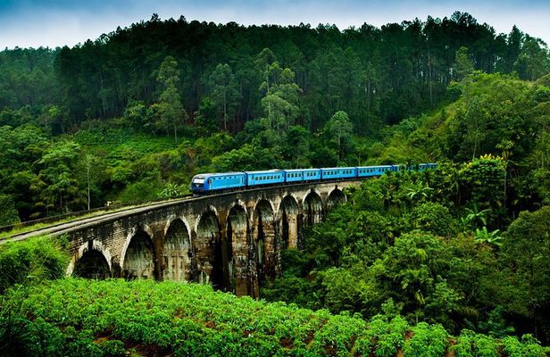 Sri Lanka Most Popular - 12 Days.