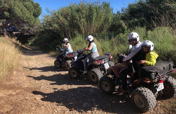 Tour 1 hour QUAD Safari