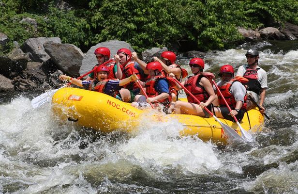 Upper Pigeon River Whitewater Rafting