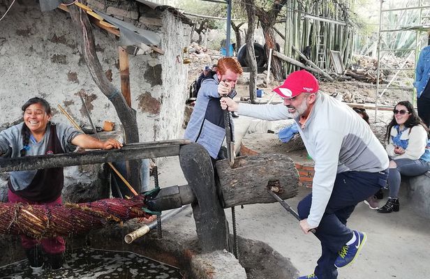 Private Tour of the Mezcal Route with Ancestral Drinks