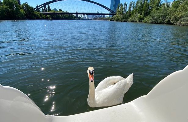 Explore Bird & Marine Wildlife private Boat Tour in English