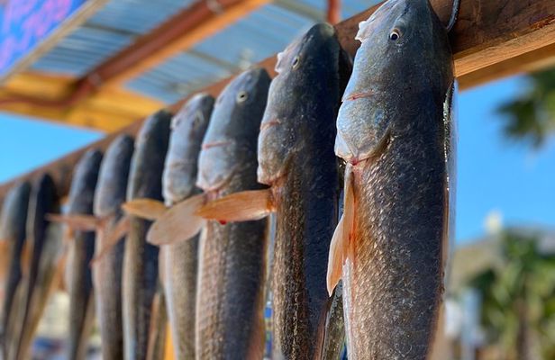 Private Bay Fishing South Padre Island