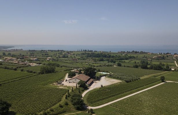 Visit and wine tasting at Tenuta La Cà