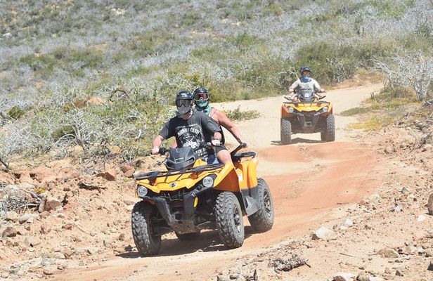 Combo Double Atv + Horses
