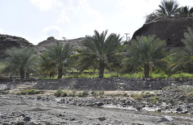 Mountain Safari Tour to Jabel Jais - Ras al Khaimah